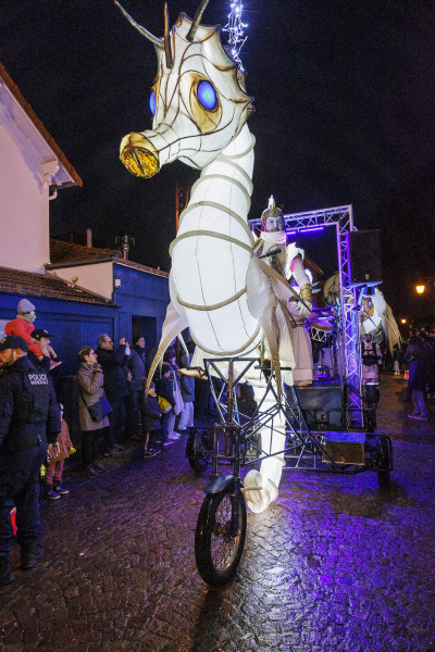 Photo 85 -  voir en plus grand (fenêtre modale)